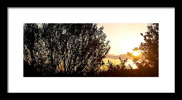 Sunset Framed Print featuring the photograph Fan by HweeYen Ong
