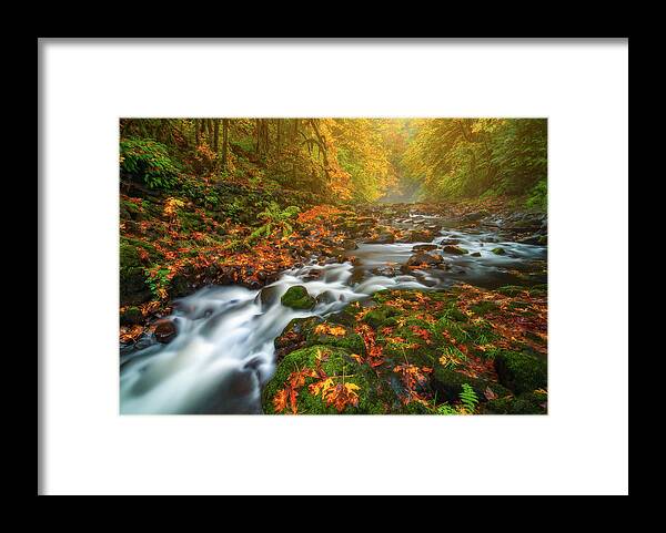Fall Colors Framed Print featuring the photograph Fantasies of Fall by Darren White