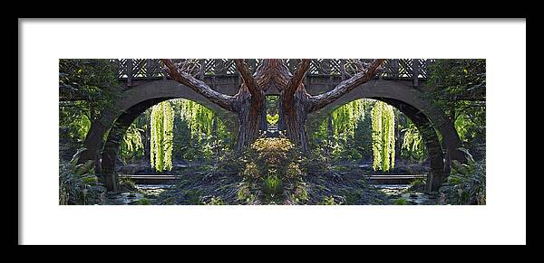 Fantasy Garden Framed Print featuring the photograph Fantasy Garden by Wes and Dotty Weber