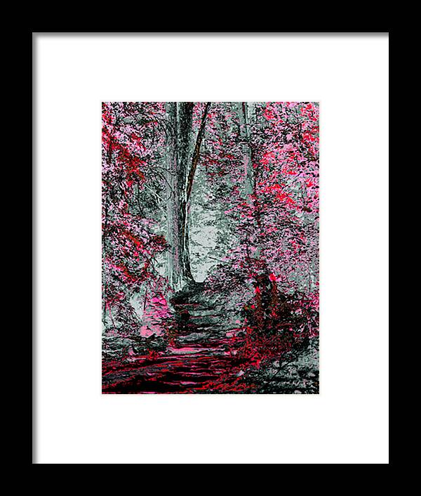 Photograph Framed Print featuring the pyrography Fantasy Path by Joe Hoover