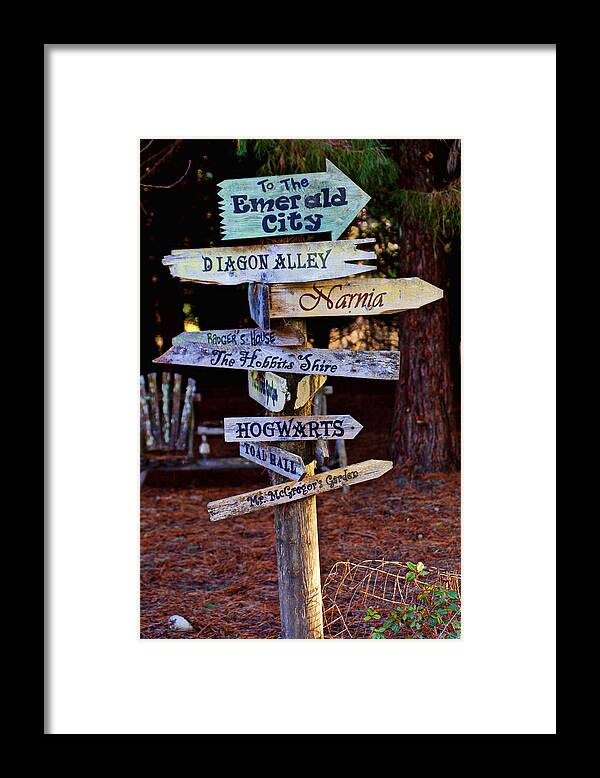 Fantasy Signs Framed Print featuring the photograph Fantasy signs by Garry Gay