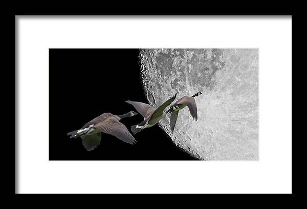 Composite Framed Print featuring the photograph Far Off-Course by Robert Mitchell