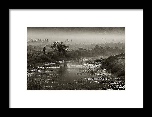 Fog Framed Print featuring the photograph Farmer and Fog- St Lucia by Chester Williams