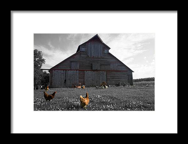 Unique Framed Print featuring the photograph Farmer John's by Dylan Punke