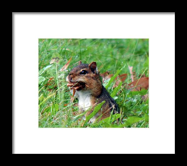 Autumn Framed Print featuring the photograph Fat Cheeks by Wild Thing