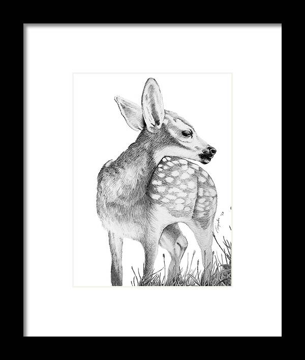 Wildlife Framed Print featuring the drawing Fawn by Lawrence Tripoli