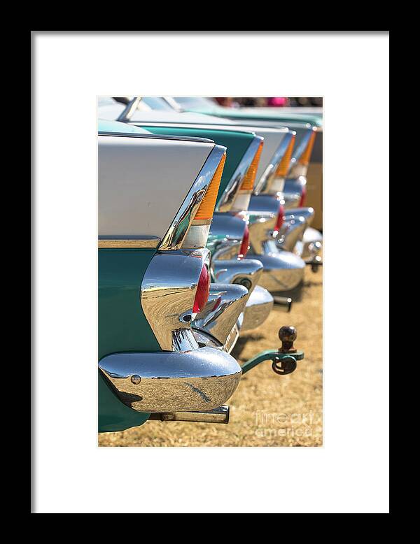 Australia Framed Print featuring the photograph FB fins by Howard Ferrier
