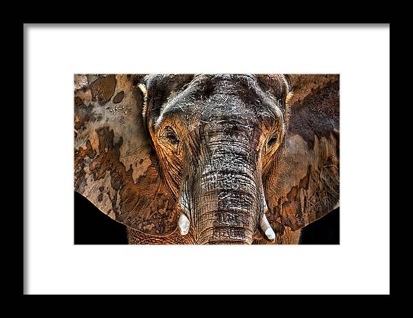 Elephant Framed Print featuring the photograph Fearless by Janet Fikar