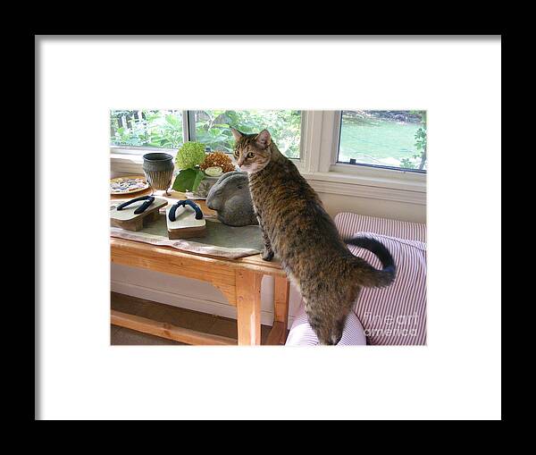 Photography Framed Print featuring the photograph Feather and Still Life by Nancy Kane Chapman