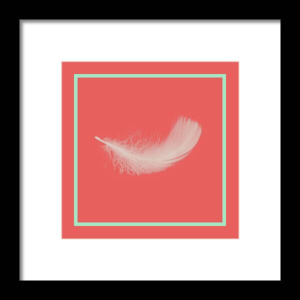 Pantone Cayenne Framed Print featuring the painting Feather by Bonnie Bruno