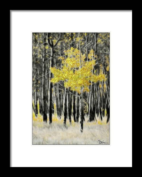 Aspen Framed Print featuring the photograph Feathered Aspen by Peggy Dietz