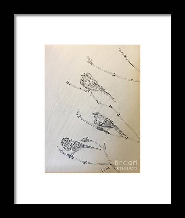 Sparrows Framed Print featuring the drawing Feathers Friends by Thomas Janos