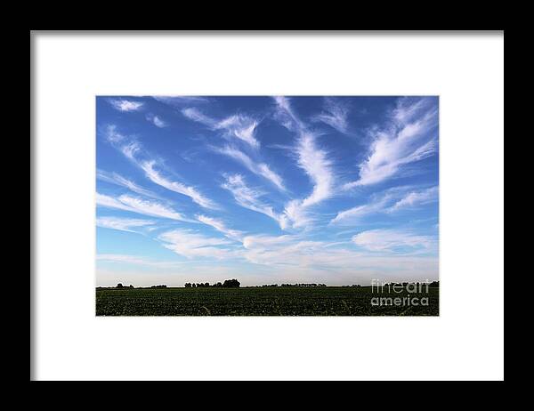 Clouds Framed Print featuring the photograph Feathers in Blue Sky by Yumi Johnson