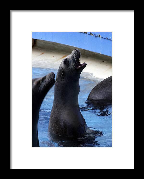  Framed Print featuring the photograph Feeding Time by Kenneth Campbell