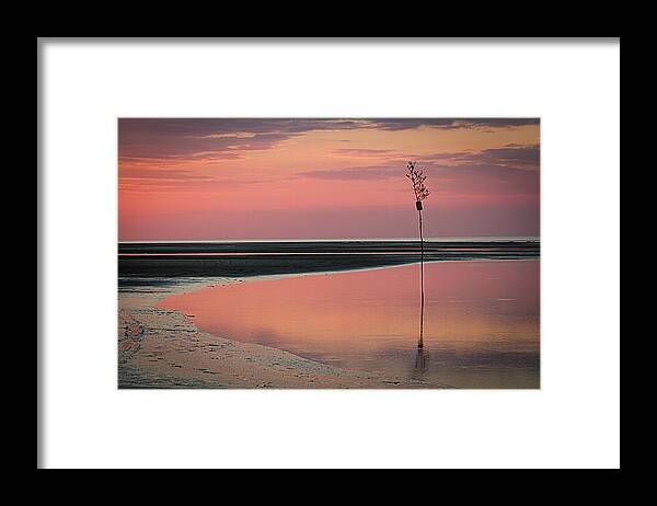 Landscape Framed Print featuring the photograph Feels Like A Dream by Patrice Zinck