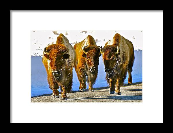 Grand Teton National Park Framed Print featuring the photograph Feet Don't Fail Me Now #2 by Don Mercer