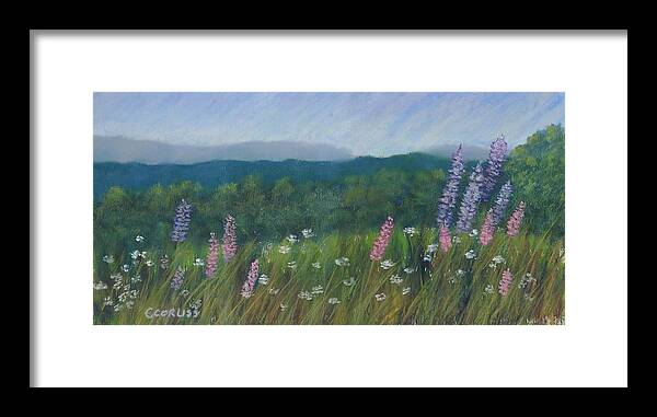 Vt Framed Print featuring the painting Feet First Farm by Carol Corliss