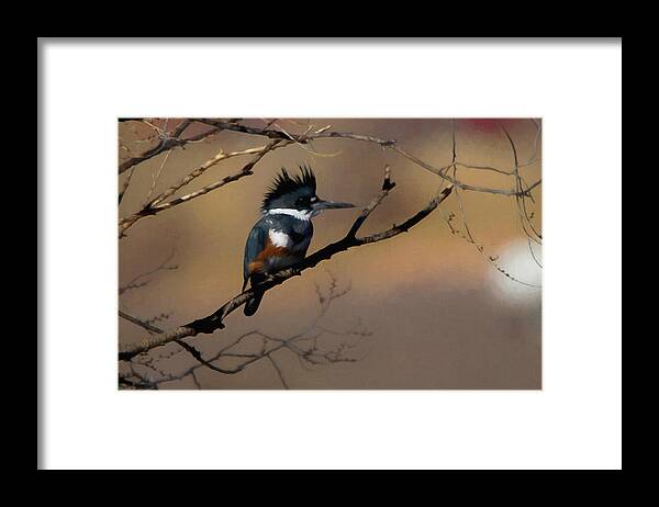 Belted Kingfisher Framed Print featuring the digital art Female Belted Kingfisher by Ernest Echols