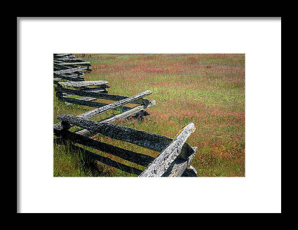 Oregon Coast Framed Print featuring the photograph Fence And Field by Tom Singleton
