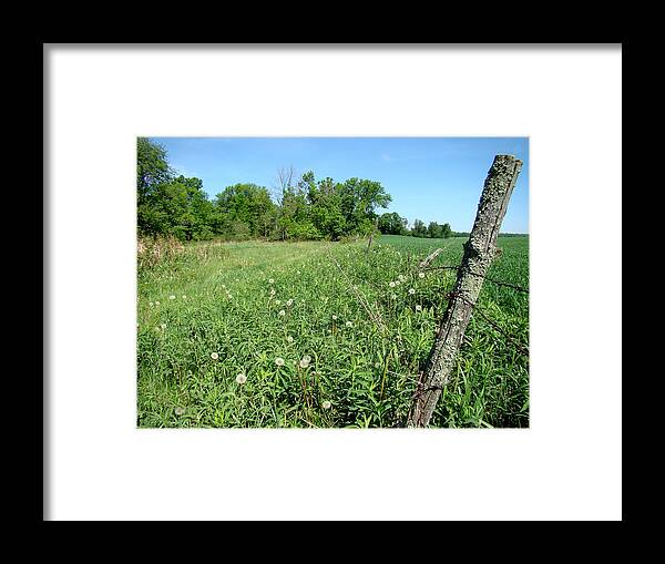 Landscape Framed Print featuring the photograph Fence Post by Todd Zabel