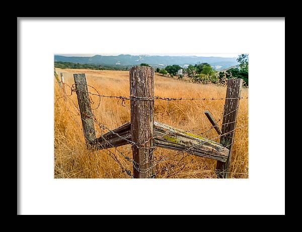 Ranch Framed Print featuring the photograph Fence Posts by Derek Dean