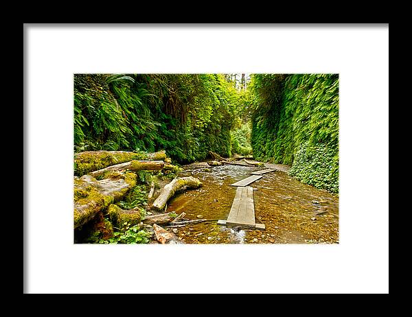 Photograph Framed Print featuring the photograph Fern Canyon by Richard Gehlbach