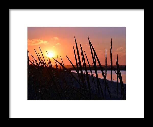 Ferry Beach Framed Print featuring the photograph Ferry Beach by Colleen Phaedra