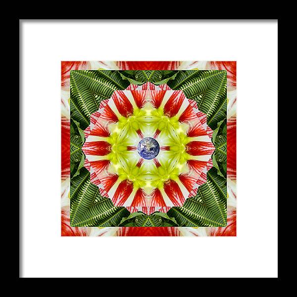 Mandalas Framed Print featuring the photograph Festivity by Bell And Todd