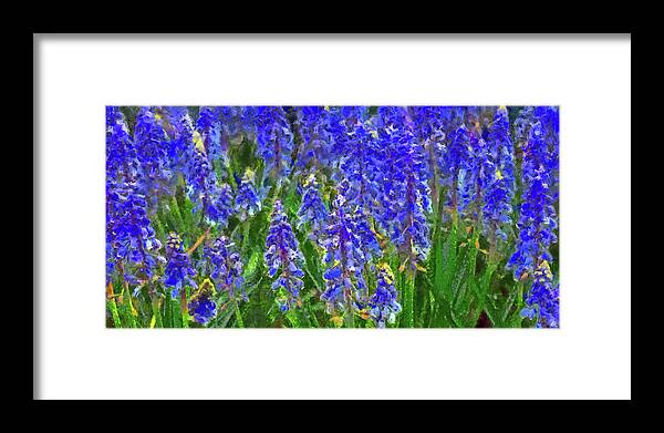 Blue Delphinium Framed Print featuring the digital art Field of Blue by Digital Photographic Arts