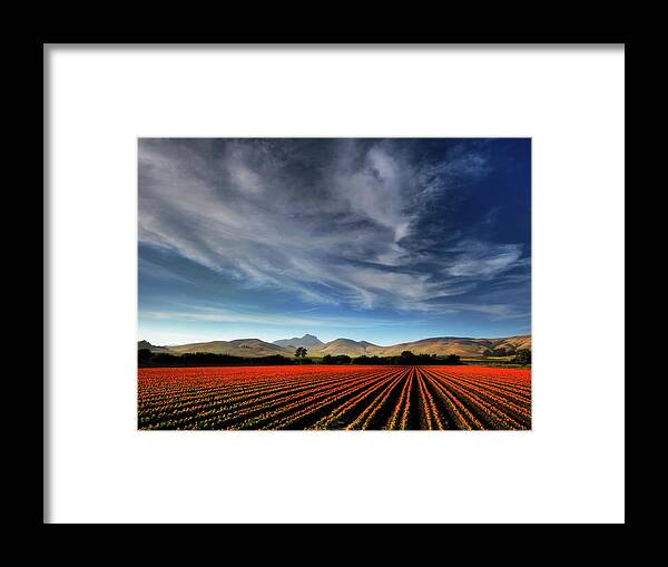 Landscape Framed Print featuring the photograph Field of Color by Beth Sargent