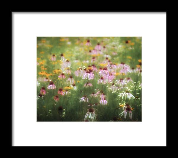  Framed Print featuring the photograph Field of Coneflowers 5x6 by James Barber