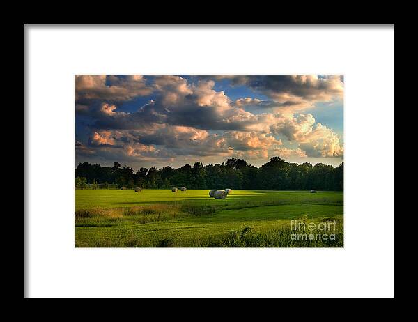 Mississippi Framed Print featuring the photograph Field of Grace by T Lowry Wilson