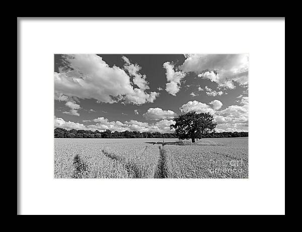 Field Of Wheat Framed Print featuring the photograph Field of Wheat by Julia Gavin