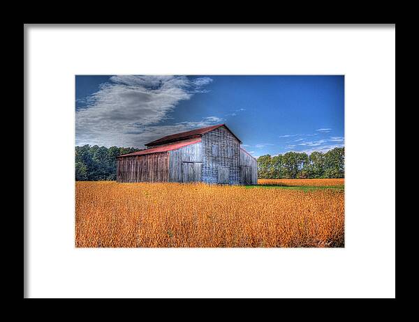  Cobb Island Framed Print featuring the photograph Fields of Amber by E R Smith