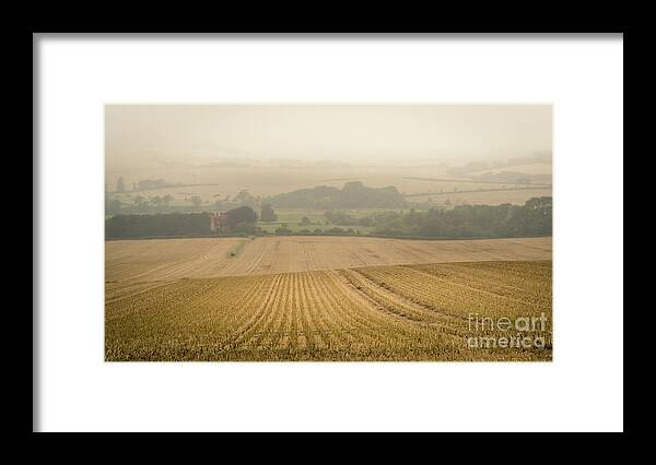 Field Framed Print featuring the photograph Fields of Gold by Perry Rodriguez