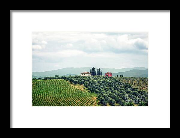 Kremsdorf Framed Print featuring the photograph Fields Of Heavenly Delights by Evelina Kremsdorf
