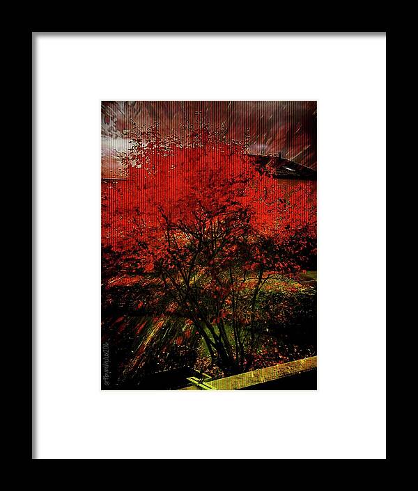 Fire Framed Print featuring the photograph Fiery Dance by Mimulux Patricia No
