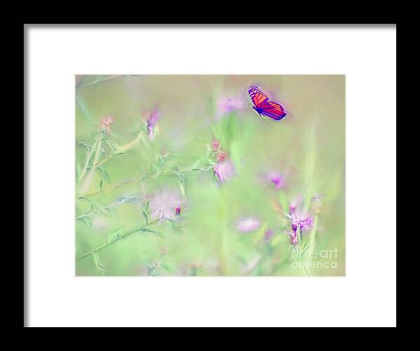 Monarch Butterfly Framed Print featuring the photograph Fighting for Flight by Kerri Farley