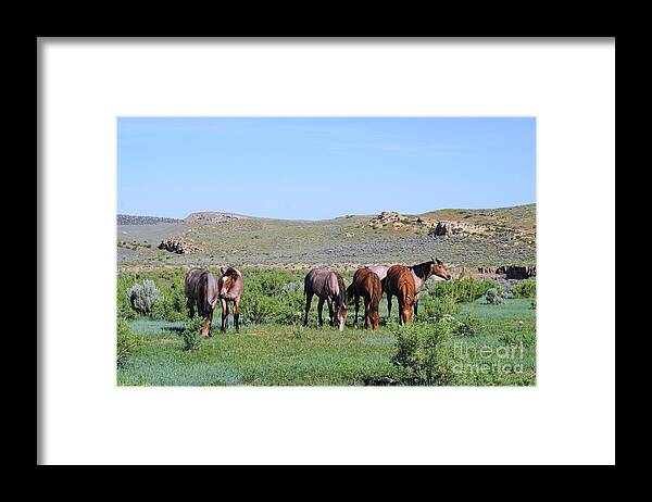 Fillies Framed Print featuring the photograph Fillies Day Out by Merle Grenz