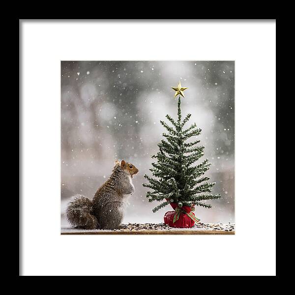 Terry D Photography Framed Print featuring the photograph Find The Magic In Christmas Square by Terry DeLuco
