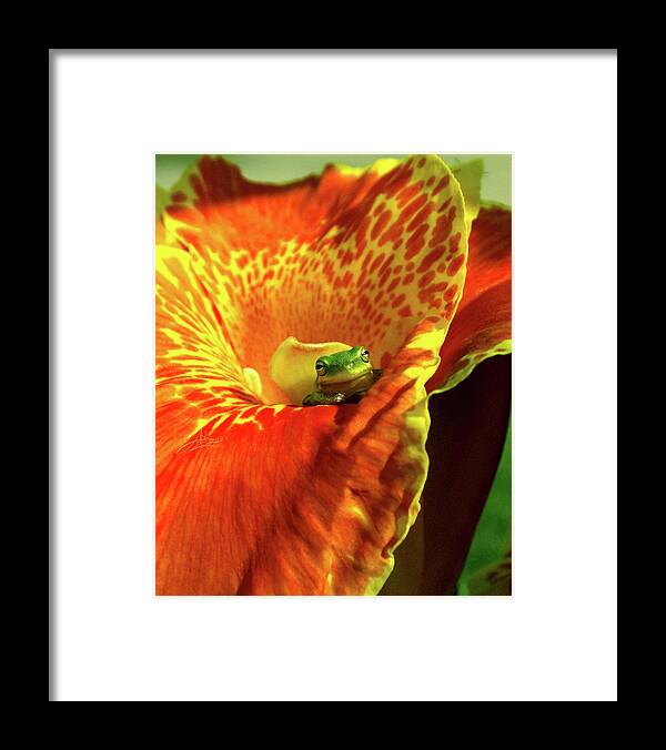 Frog Framed Print featuring the photograph Find Your Happy Place by April Zaidi