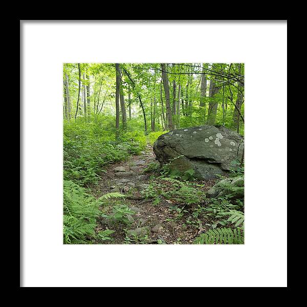Path Framed Print featuring the photograph Find Your Path by Vic Ritchey