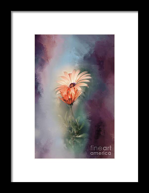 Flower Art Framed Print featuring the photograph Finding Destination by Janie Johnson