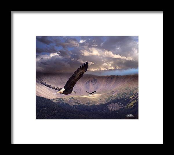 Eagles Framed Print featuring the digital art Finding Tranquility by Bill Stephens