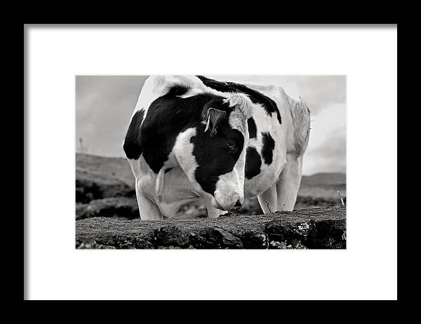 Abstract Framed Print featuring the photograph Fine Art Black and White-189 by Joseph Amaral