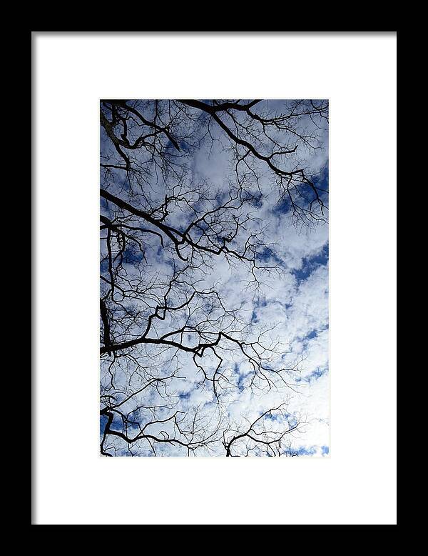 Sky Framed Print featuring the photograph Fingers in the sky by Stacie Siemsen