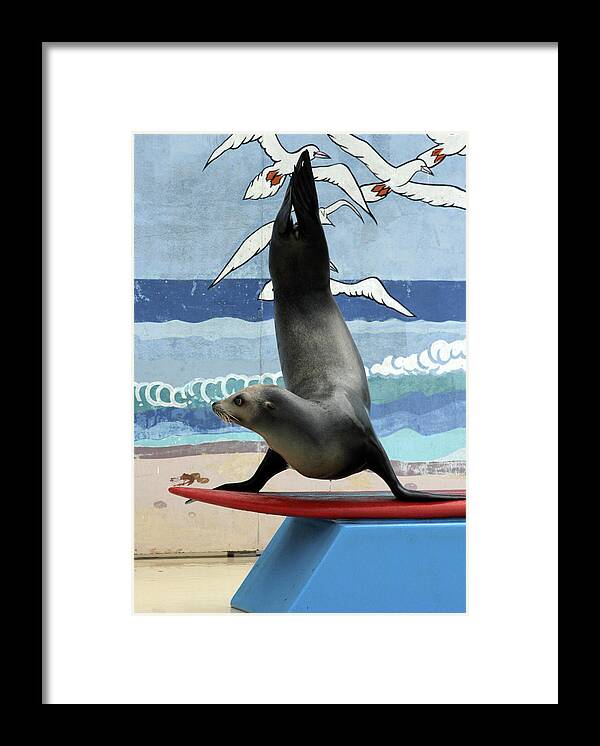  Framed Print featuring the photograph Fins Up by Kenneth Campbell