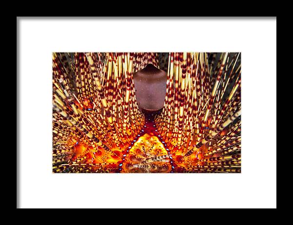 Magnificent Framed Print featuring the photograph Fire Beneath the Waves by Sandra Edwards