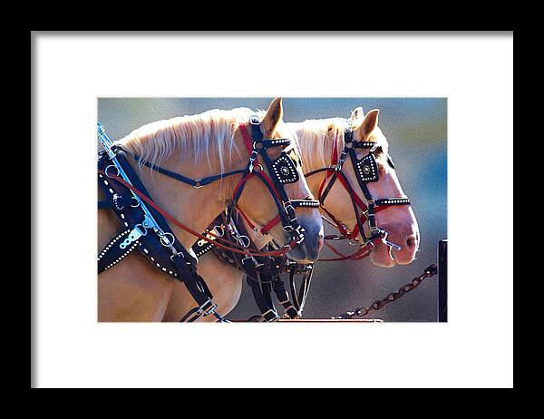 Bonnie Follett Framed Print featuring the photograph Fire Horses by Bonnie Follett