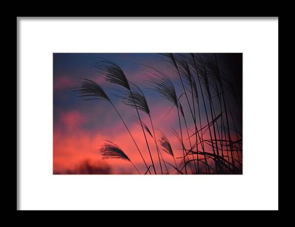 Sky Framed Print featuring the photograph Fire in the Sky by Sumoflam Photography